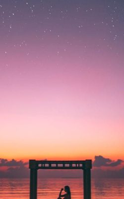 pexels-photo-2531237